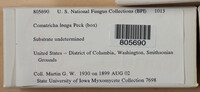 Image Associated With the Occurence